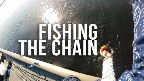 Winter Haven Fishing Trip