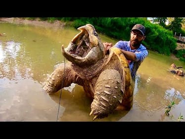 I was in SHOCK when I saw what ate my bait…