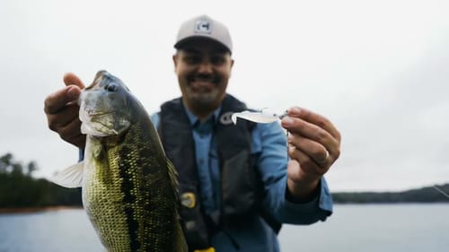 This bait SLAYS!  THE CAST ECHO HAS ARRIVED!!!