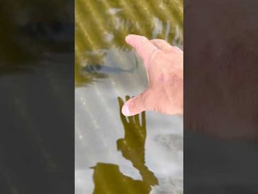 Bro Catches Fish With His Bare Hands 👀