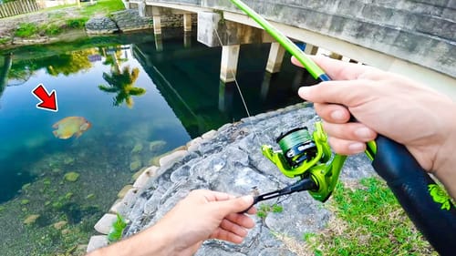 Did I Just Catch the STATE RECORD?! (Urban Canal Fishing)