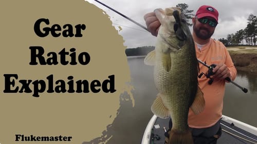 In the Truck Again - Fishing Reel Gear Ratios Explained