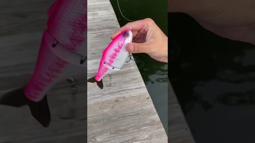 Swimbait Review: BGC 7" Shad Glide