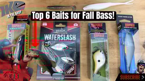 Top 6 Baits for Fall Bass!