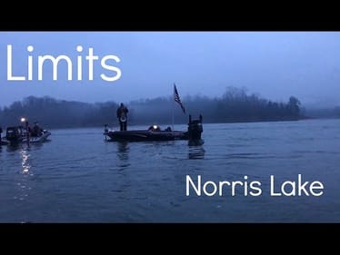 BFL Tournament No.1 Norris Lake Recap | Limits S1E3