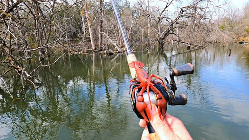 Bass Love Crawfish!