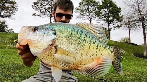 I've been CHASING THIS CRAPPIE for YEARS!!!