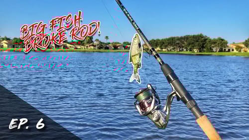 Big Fish SNAPPED My St. Croix Rod! | Swimbait Showdown: Season 1, ep 6