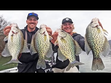 Fishing The River for Loads of Crappie! Give Em The SHAKE! (Rock & Current)