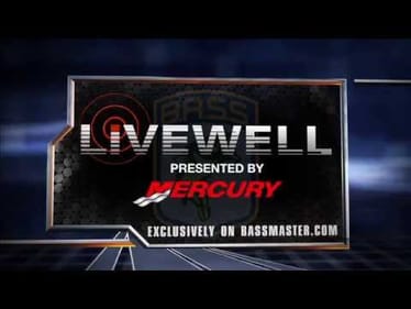 Livewell All-Star preview