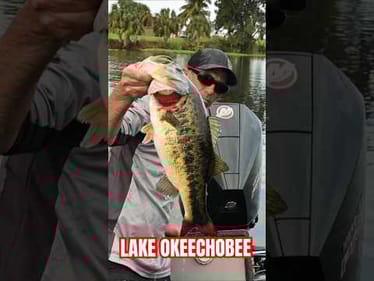 MLF Toyota Series Lake Okeechobee #short #bassfishing #mlf