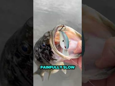 These APRIL Lures are UNSTOPPABLE 🔥