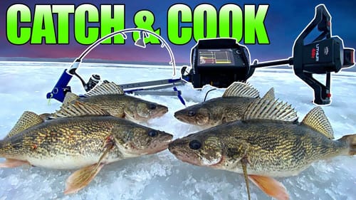 Hammering MEATY First Ice WALLEYE for Dinner!! (CATCH CLEAN COOK)