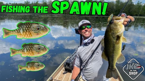 Gilly MAGIC!!! Spawn Fishing Secrets Revealed!!!