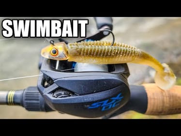 Bank Fishing with a Paddle Tail Swimbait (Reaction Innovations Skinny Dipper)