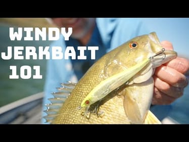 Jerkbaits In The Wind Has Finally Been Solved With These Crucial Tips!