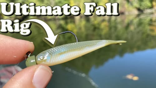 DON'T Leave When Bass STOP BUSTING