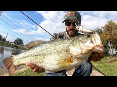 FALL TACTICS for MONSTER BASS!!