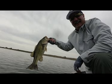 Nice Largemouth on Okuma X-Series Setup | Bass Fishing