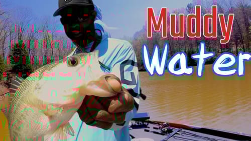 Fishing in a Muddy Creek with a Spinnerbait
