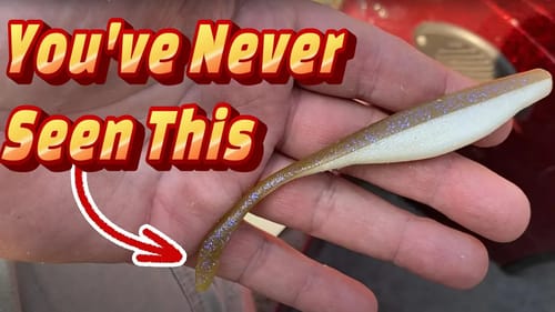 FISH These BAITS NOW Top 5 Baits