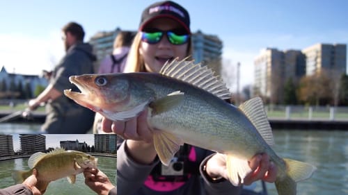 Walleye Fishing & STURGEON ON!! (Detroit River)