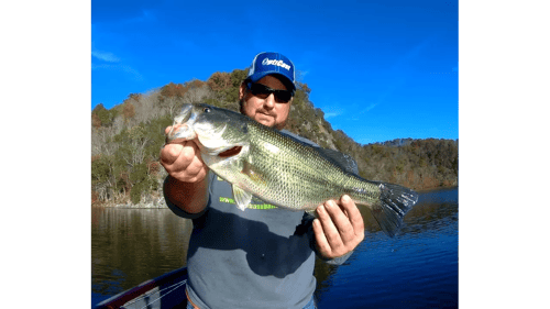Catch Deep Water Bass Fast and Efficiently with This!