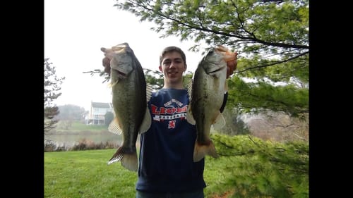 Bassin' Fall Ponds: Jig fishing
