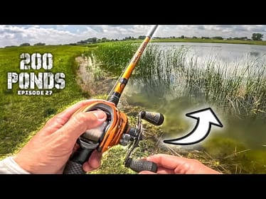 Summer Pond Fishing in SHALLOW Water! ("200 Ponds" Ep. 27)