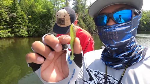 How Many Hazedong's Does It Take to Catch Mid-West Smallmouth Bass? - #BBDPersonalTraining Session