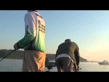 White Bass Feeding Frenzy