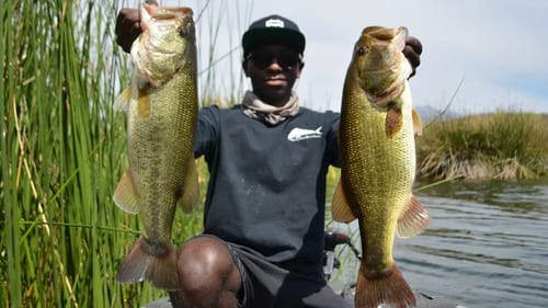 Catching Early Fall Bass With Jigs And Topwater