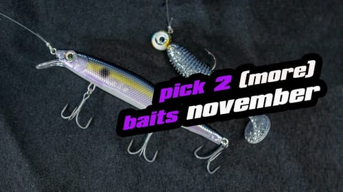 Pick 2 (More) Baits November