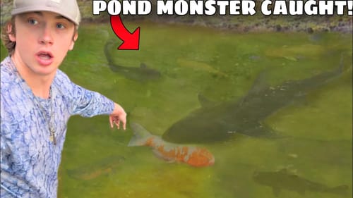 Saving My Fish From POND MONSTER!