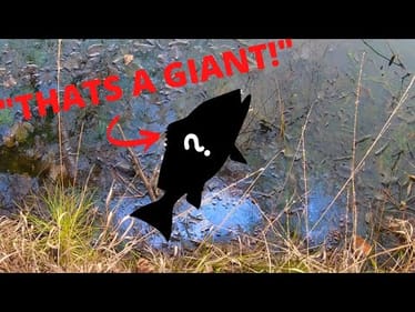 The LAST thing a FISHERMAN wants to see at their POND