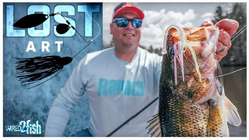 8 Spinnerbait Tips for Springtime Bass Fishing