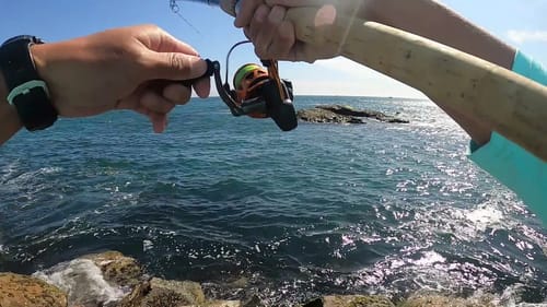 Dana Point (7-30-21)