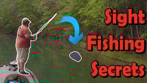 Sight Fishing Secret No One Talks About