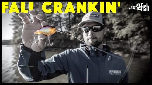 4 Tips to Catch Fall Bass Around Bridge Riprap