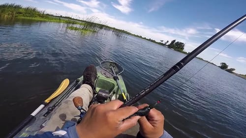 Fishing a Tournament Blind(Duel on the Delta)