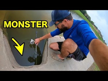 NOODLING for MONSTER LARGEMOUTH BASS?!