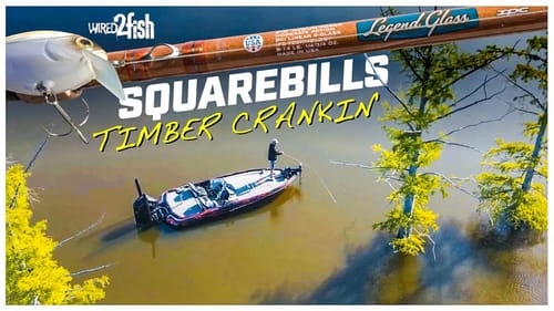 How to Fish Upsized Squarebill Crankbaits Around Wood