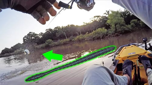 Summer Kayak Bass Fishing with SUBTLE Finesse Worm Tactic