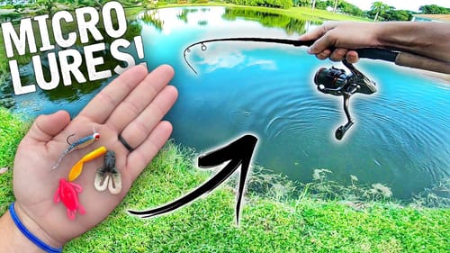 MICRO FISHING LURES Catch AGGRESSIVE Big Fish! (New Fishing Spot)