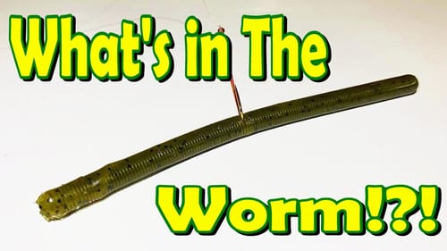 Wildest Wacky Worm Ever?