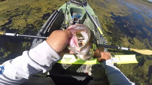Lakeport Bait & Tackle's First Annual Kayak Tournament(Clear Lake)