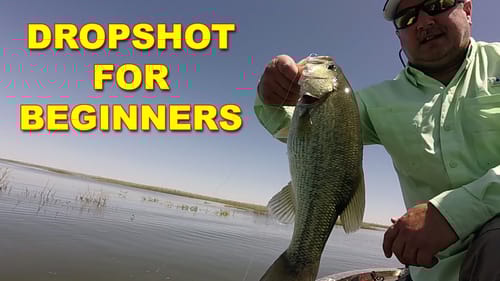 Dropshot For Beginners | Bass Fishing