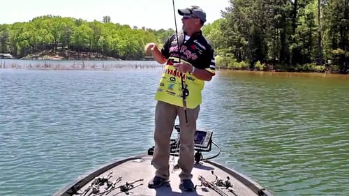 Super Sonic Shaky Head for Bass