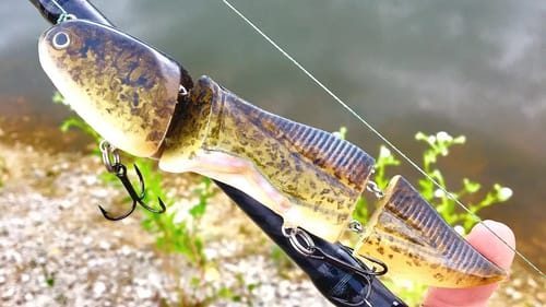 Undeveloped BullFrog Tadpole Lure | One Day Build to Catch