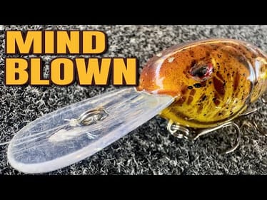 MIND-BLOWING Crankbait Tricks for Winter Bass Fishing